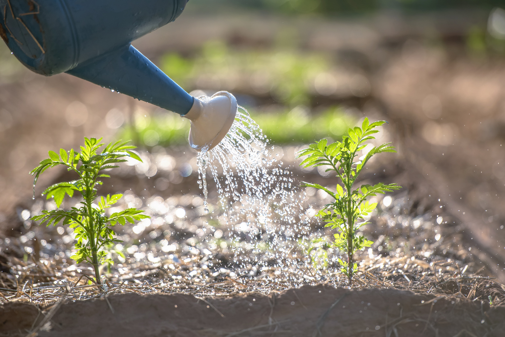 Microbewässerung für 16 Planzen Grow Garten Bewässerung Bewässerungsset 